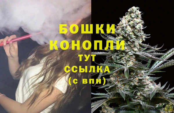 стафф Аркадак