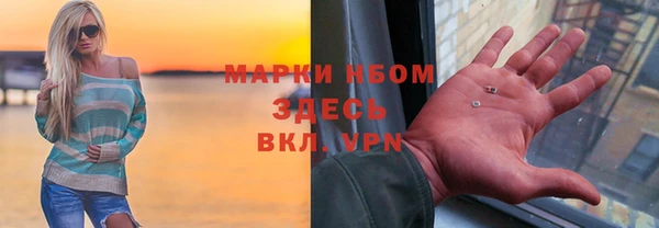 прущие грибы Армянск