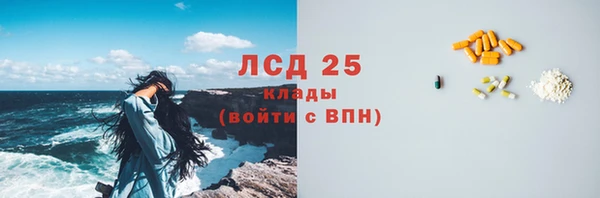 стафф Аркадак
