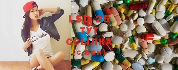 стафф Аркадак