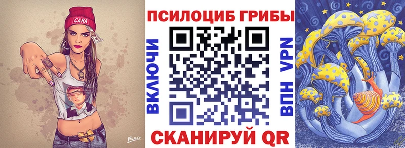 Галлюциногенные грибы Cubensis  Купить  Сретенск 