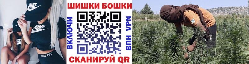 Купить где  Сретенск  Шишки марихуана SATIVA & INDICA 